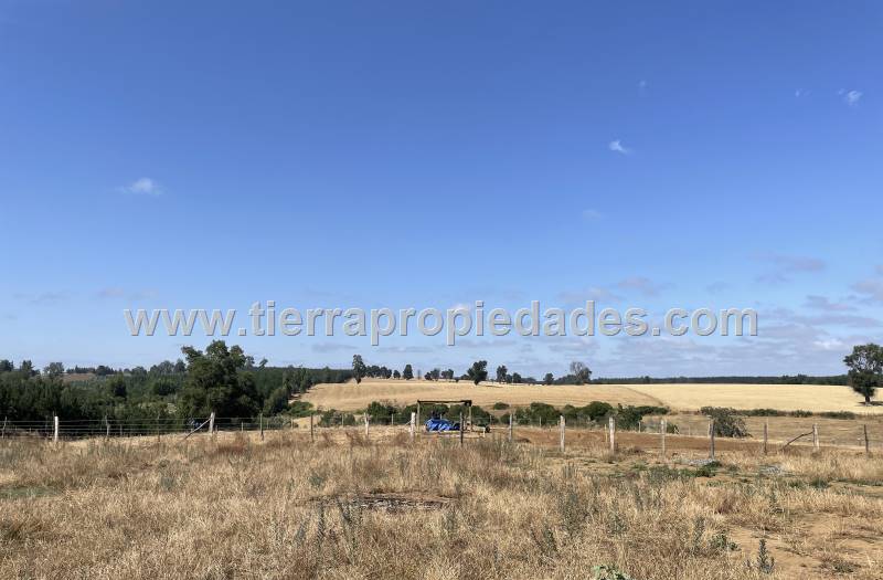 Parcelas Venta Quilaco