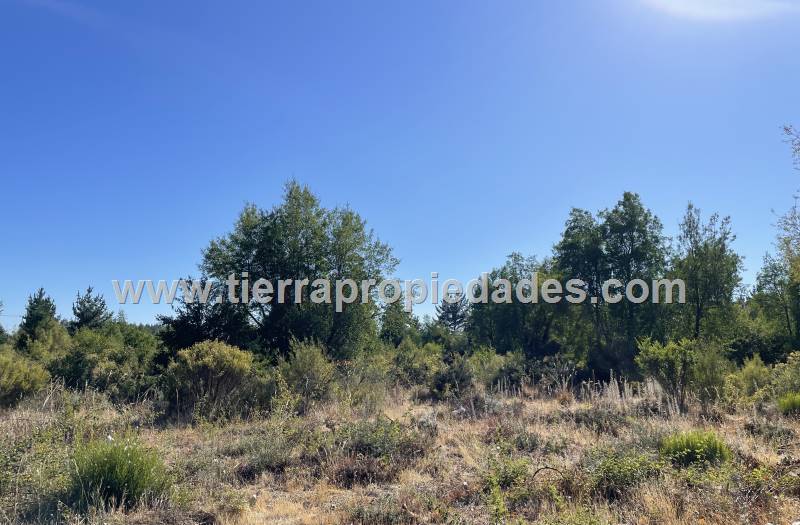 Parcelas Venta Los Ángeles Chacayal Sur