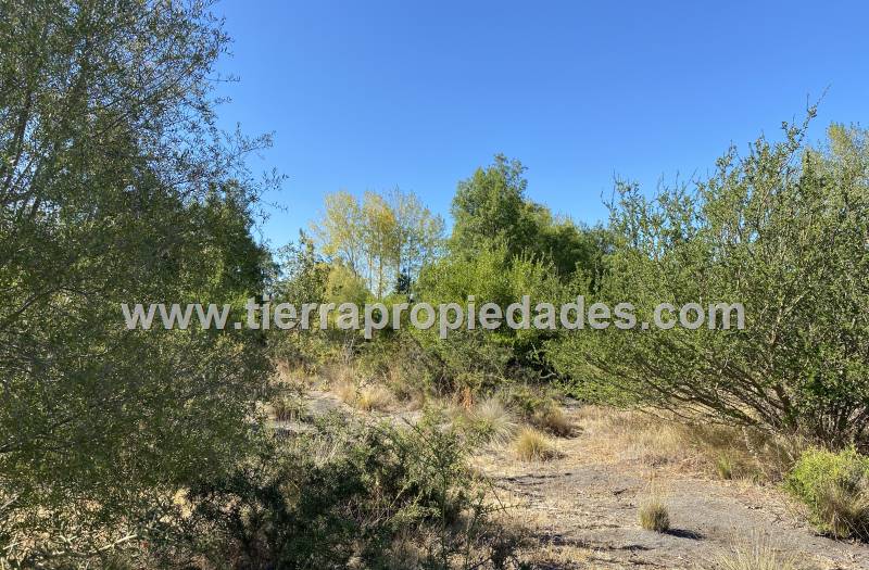 Parcelas Venta Los Ángeles Chacayal Sur