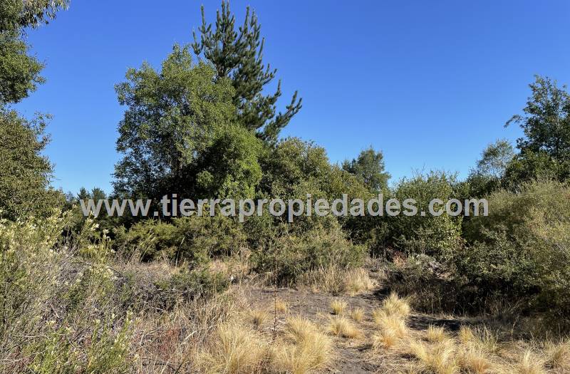 Parcelas Venta Los Ángeles Chacayal Sur