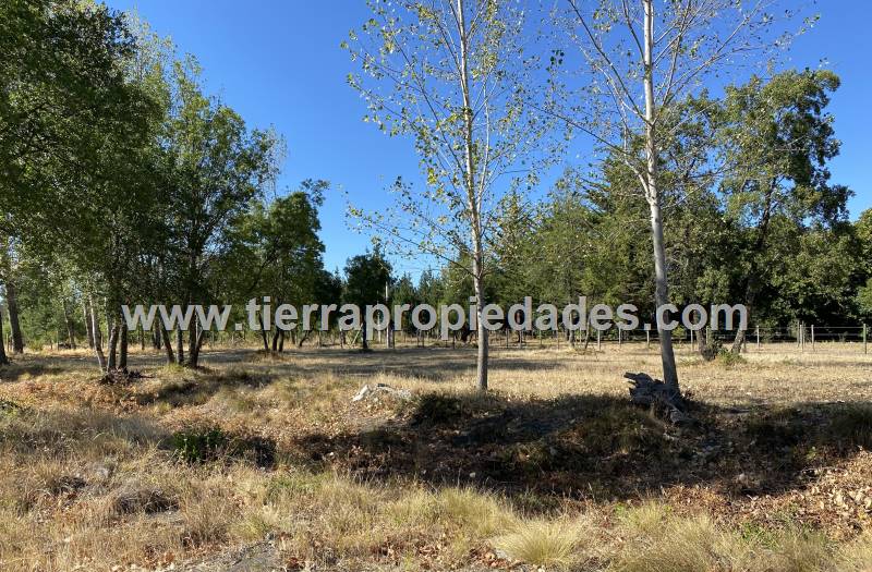 Parcelas Venta Los Ángeles Chacayal Sur