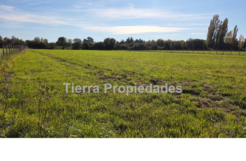 Parcelas Venta Los Ángeles Sector El Durazno
