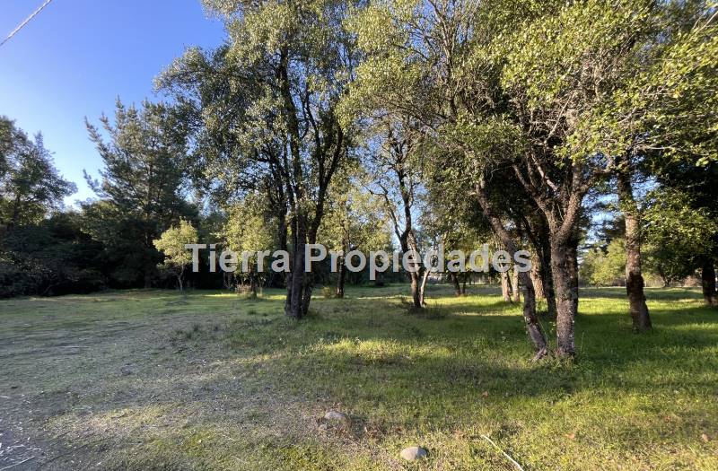Parcelas Venta Los Ángeles Cam.  Cerro Colorado