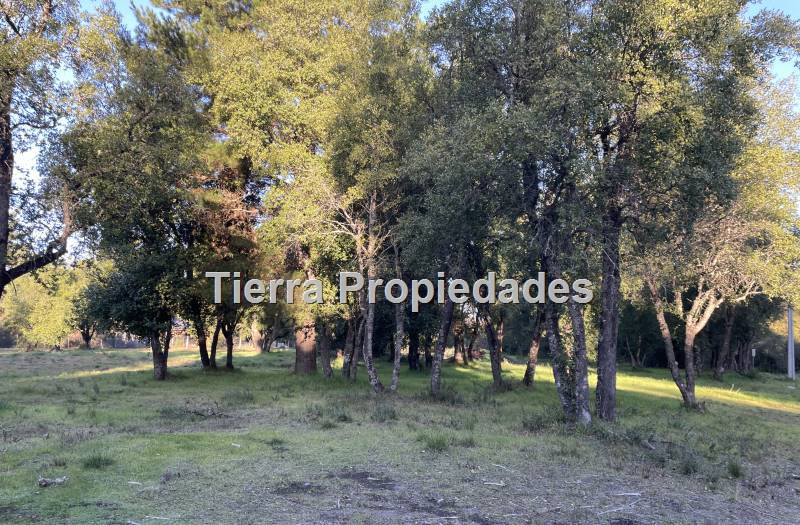 Parcelas Venta Los Ángeles Cam.  Cerro Colorado