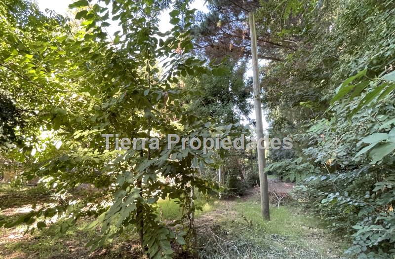 Parcelas Venta Los Ángeles Cam. El Peral