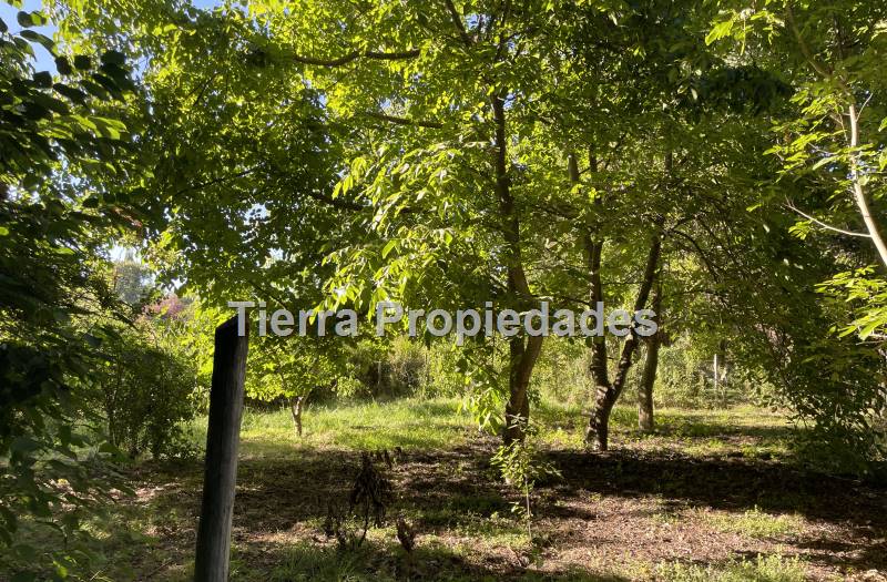 Parcelas Venta Los Ángeles Cam. El Peral