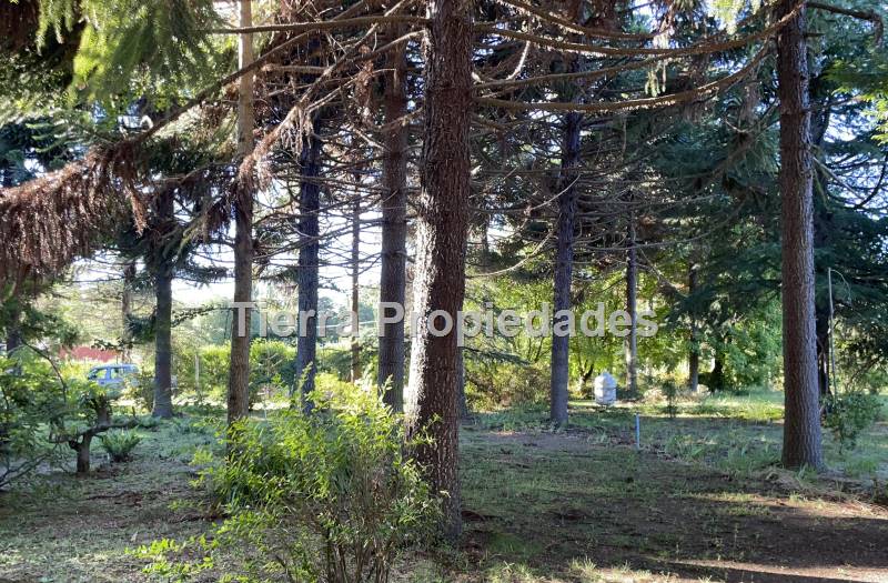 Parcelas Venta Los Ángeles Cam. El Peral