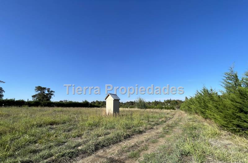 Parcelas Venta Los Ángeles Cam.  Cerro Colorado