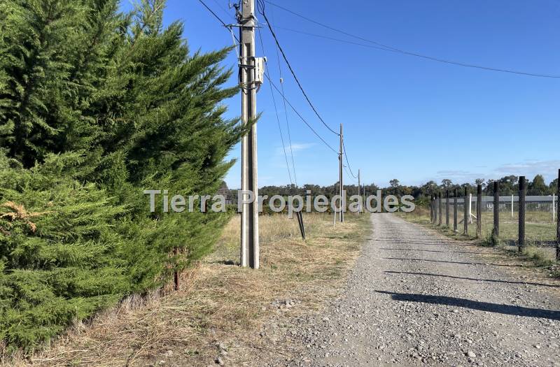 Parcelas Venta Los Ángeles Cam.  Cerro Colorado