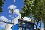 Arriendo Los Ángeles Departamento
