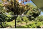 Arriendo Los Ángeles Departamento