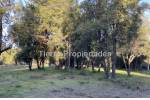 Venta Los Ángeles Parcelas