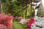 Venta Los Ángeles Parcelas